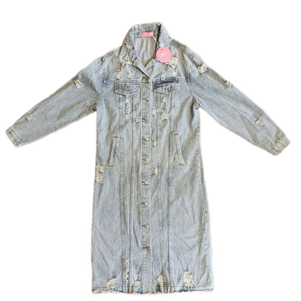 Stylish Long Sleeve Denim Dress